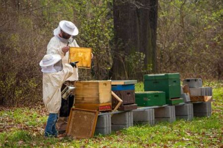 Children and Beekeeping Image